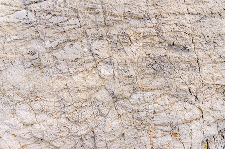 Texture of sea stone textureの写真素材