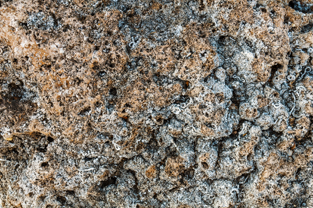 Texture of sea stone textureの写真素材