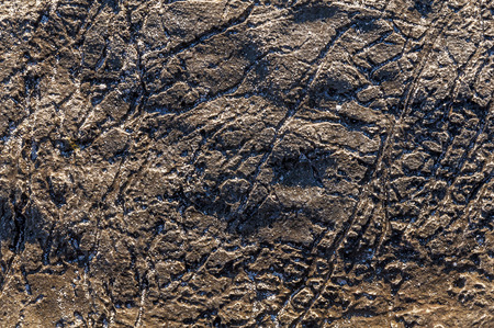Texture of sea stone textureの写真素材