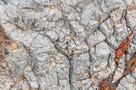 Texture of sea stone textureの写真素材