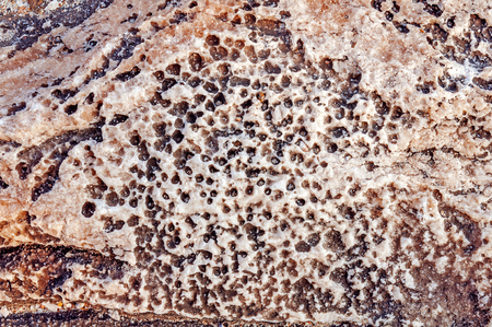 Texture of sea stone textureの写真素材