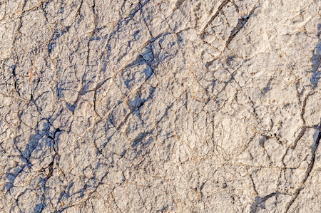 White texture of sea stone textureの写真素材