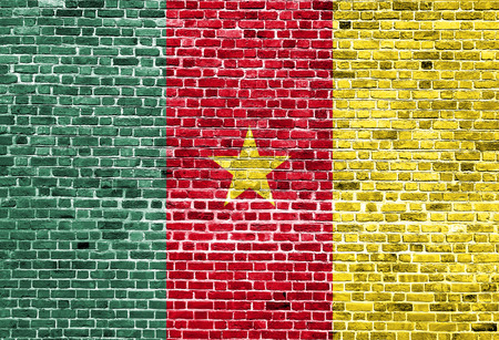 Flag of Cameroon painted on brick wall, background textureの写真素材