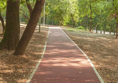 Red track rubber made from crumb and flexible core for running in the forestの写真素材
