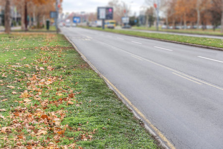 City asphalt road on a clean day with lot of trees aside