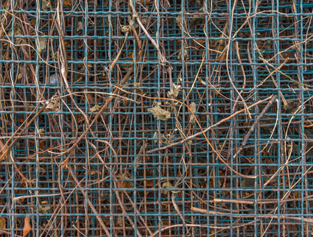 Matal industry grid fence pattern with natural brown weeds