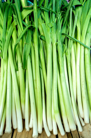 Fresh healthy bio leek on farmer agricultural market
