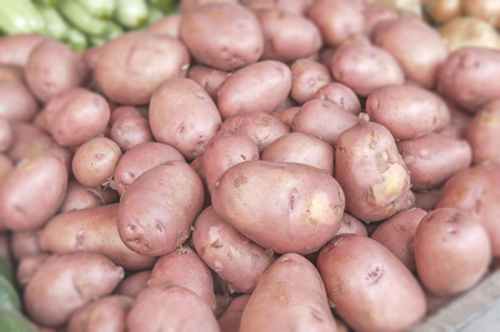 Lot of organic potato product ready for cooking on fresh marketの写真素材