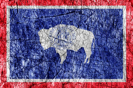 Grudge stone painted US Wyoming flagの写真素材