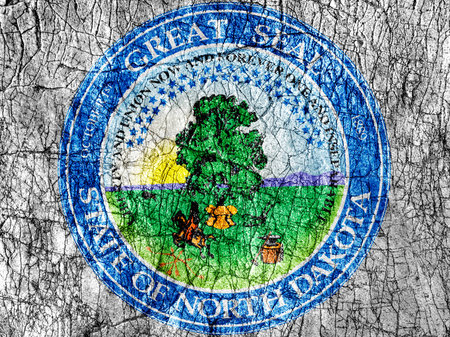 Grudge stone painted US North Dakota seal flagの写真素材