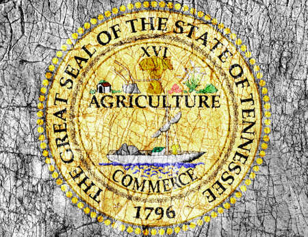 Grudge stone painted US Tennessee seal flagの写真素材