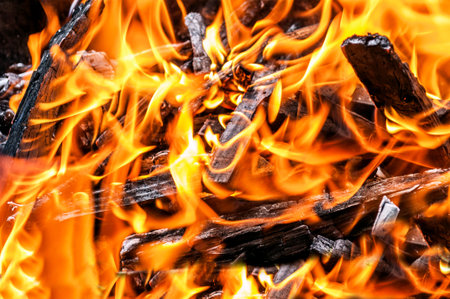 Burning firewood in the fireplace closeup
