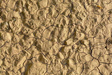 Big stone texture of dry crack on the ground in drought seasonの写真素材
