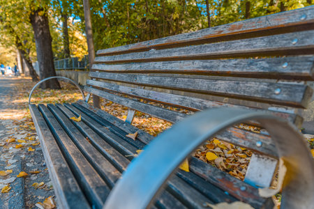 Close up view of wooden bench with metal on city street in the park