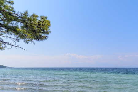 Blue seashore with big clody sky and green branchの写真素材