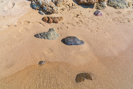 Footprints on the sand with sea shore and stoneの写真素材