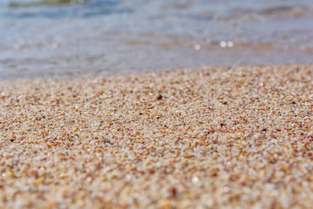 Sea sandy shore with shells in the rays of the summerの写真素材
