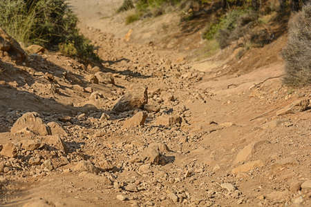 Red and brown dirt path with stones to the seaの写真素材