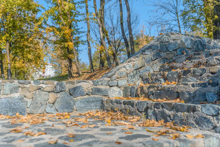 Stone stairs full of autumn leaves on walkway with forest and sky backgroundの写真素材