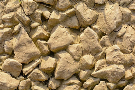 Stone texture of dry crack on the ground in drought seasonの写真素材