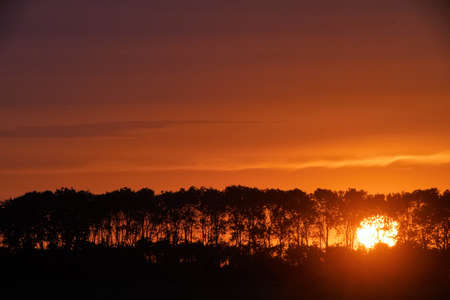 Sunset behind the treesの写真素材