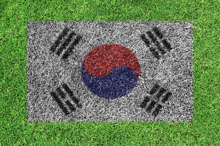 flag of South Korea as painting on green grassの写真素材