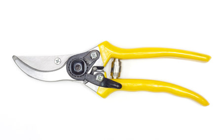 gardening secateurs for cutting branches isolated on white background 