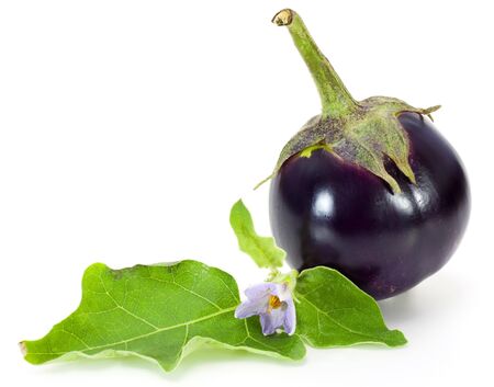 a round eggplant isolated on a white backgroundの写真素材