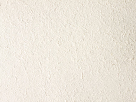 Mulberry paper 