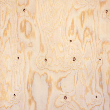 Texture of wood background closeup 