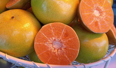 Artificial orange 