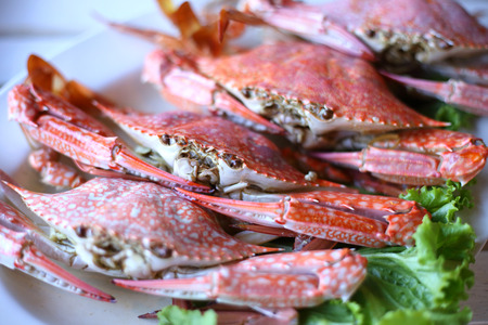 Thai seafood, steamed crabの写真素材