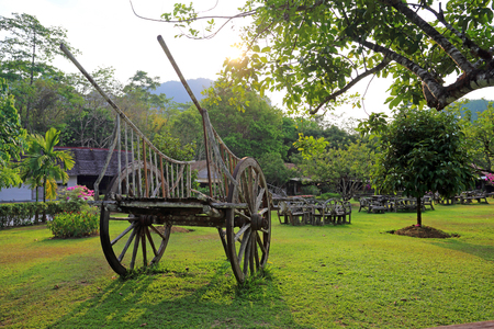 Old Wooden Cart in gardenの写真素材
