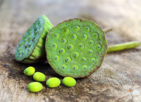 Lotus seeds on old wood background.