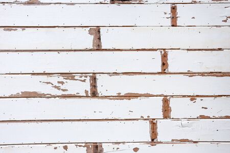white wood texture backgroundsの写真素材