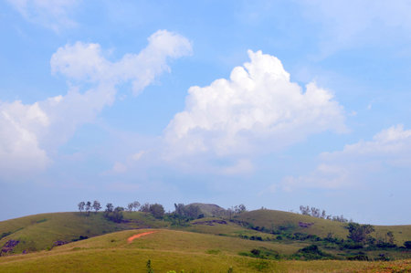 Vagamon Medows, Kerala
