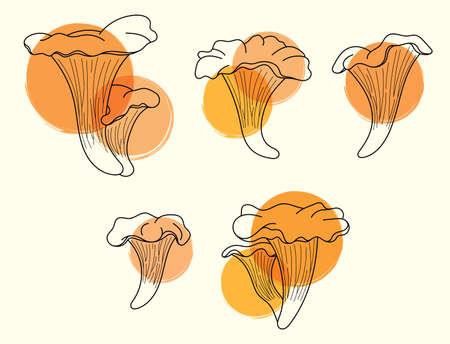 Line art set of chanterelle mushrooms with orange paint spots. Cottage core with a color accentのイラスト素材