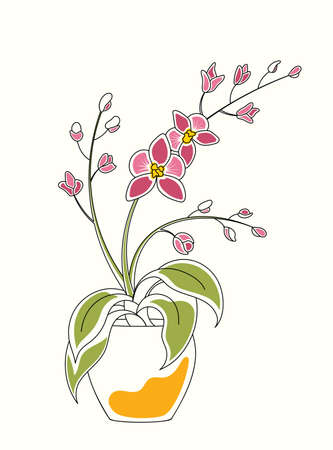 Line art watercolor illustration of orchid in pot with flowers and blossomsのイラスト素材