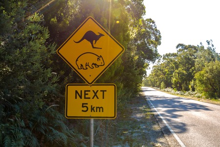 Warning sign for kangaroo and wombat crossing on Austalian road.の写真素材