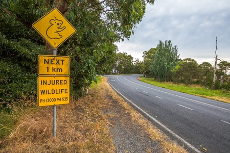 Warning sign for Koala crossing on Austalian country road and injured wildlife assistance number.の写真素材