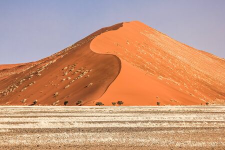 The famous dune forty in the Namib Desert, Namib-Naukluft National Park, Namibia, Africa.の写真素材