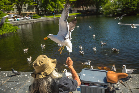 Stavanger, Norway - June 16, 2014: Homeless feeding the seagulls sitting on a bench in front of the Cathedral.のeditorial素材