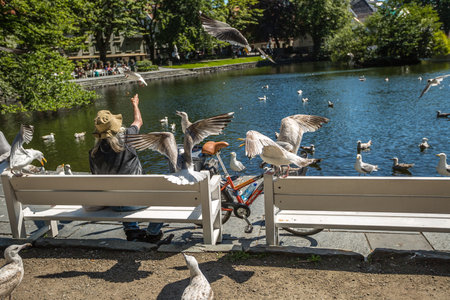 Stavanger, Norway - June 16, 2014: A homeless man sitting on the bench with an old bicycle alongside watch seagulls eat, in front of the Cathedral.のeditorial素材