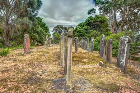 Old gravestones in the Isle of the Dead located in the harbor off Port Arthur, Tasman Peninsula, Tasmania, Australiaのeditorial素材