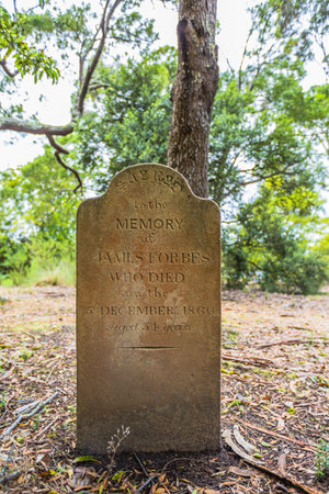 Port Arthur,Tasmania, Australia - January 15, 2015: Old tombstone in the Isle of the Dead hystoric site, used as the graveyard for the penal settlement of Port Arthur from 1833 to 1877のeditorial素材