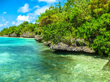 The tropical and transparent waters around the Ile aux Aigrettes, a small coral island declared a...