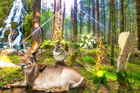 Magical enchanted forest with unicorn, magic animals and a waterfallの写真素材