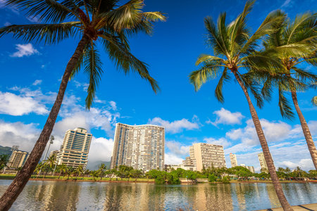 Honolulu city skyline with palm trees. Hotel and Honolulu skyscrapers reflected in the Ala Wai Canal in Oahu, Hawaii.の写真素材
