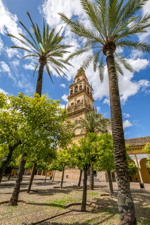 The bell tower Alminar and former minaret, also known as the courtyard of orange trees, of Mosque of Cordoba converted to a Cathedral in the 1500 in Andalusia, Spain.のeditorial素材