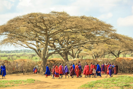 Ngorongoro Crater, Tanzania - January 6, 2013: Masai african tribe with their colorful traditional clothing, walking away in the Ngorongoro Crater.のeditorial素材